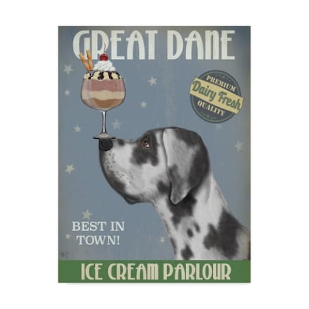 Fab Funky 'Great Dane, Harlequin, Ice Cream' Canvas Art,18x24